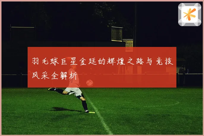 羽毛球巨星金廷的辉煌之路与竞技风采全解析