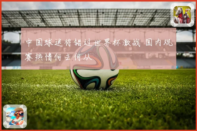 中国球迷将错过世界杯激战 国内观赛热情何去何从