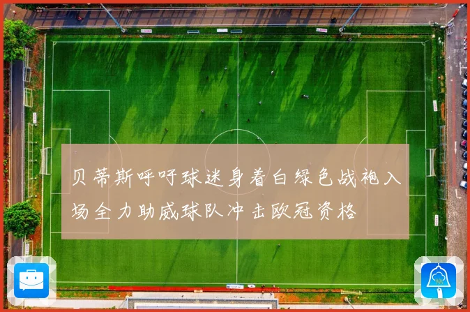 贝蒂斯呼吁球迷身着白绿色战袍入场全力助威球队冲击欧冠资格