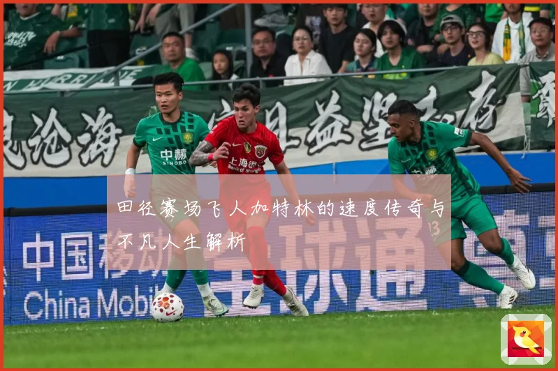 田径赛场飞人加特林的速度传奇与不凡人生解析