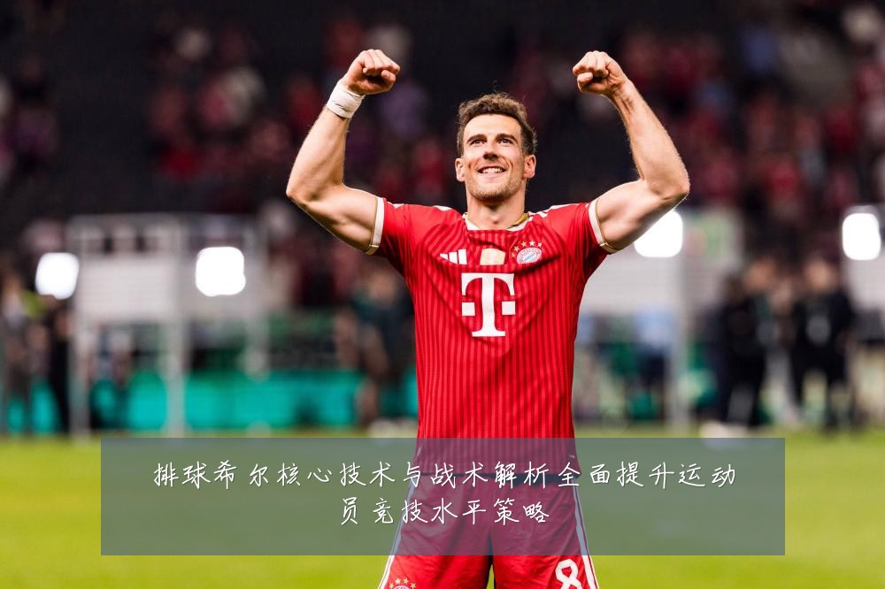 排球希尔核心技术与战术解析全面提升运动员竞技水平策略